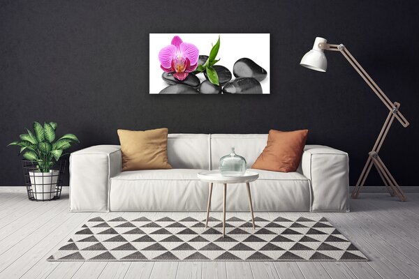 Tablou pe panza canvas Pietrele de flori Arta roz negru