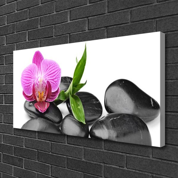 Tablou pe panza canvas Pietrele de flori Arta roz negru