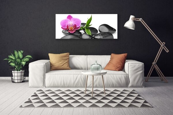 Tablou pe panza canvas Pietrele de flori Arta roz negru