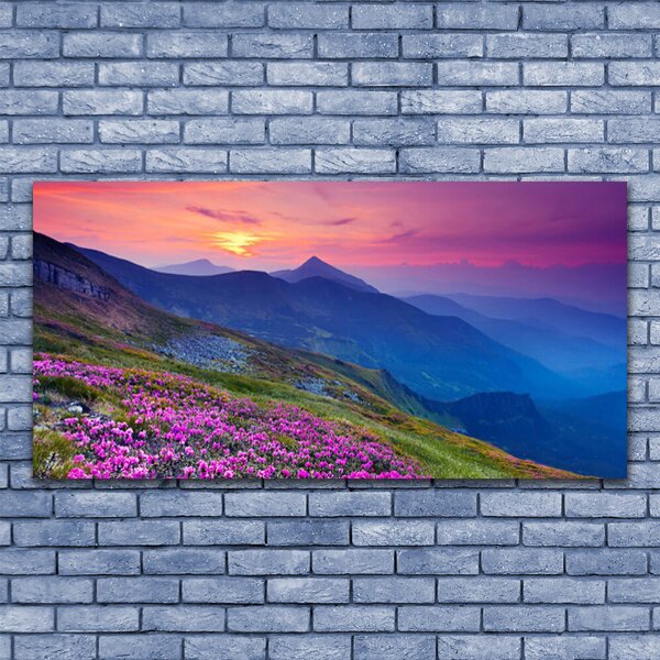 Tablou pe panza canvas Muntii Meadow Flori Peisaj Albastru Roz Verde Galben