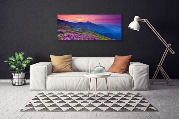 Tablou pe panza canvas Muntii Meadow Flori Peisaj Albastru Roz Verde Galben
