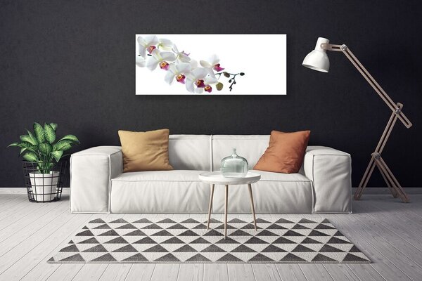 Tablou pe panza canvas Flori Floral alb