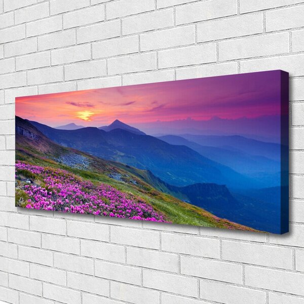 Tablou pe panza canvas Muntii Meadow Flori Peisaj Albastru Roz Verde Galben