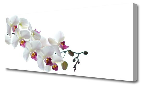 Tablou pe panza canvas Flori Floral alb