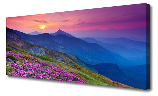 Tablou pe panza canvas Muntii Meadow Flori Peisaj Albastru Roz Verde Galben