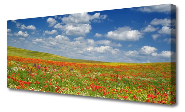 Tablou pe panza canvas Meadow Flori Peisaj Roșu Alb Verde