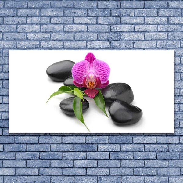 Tablou pe panza canvas Pietrele de flori Arta roz negru