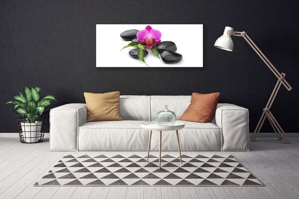Tablou pe panza canvas Pietrele de flori Arta roz negru