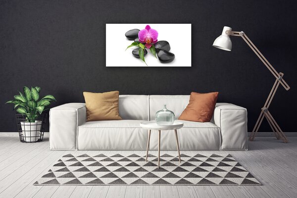 Tablou pe panza canvas Pietrele de flori Arta roz negru