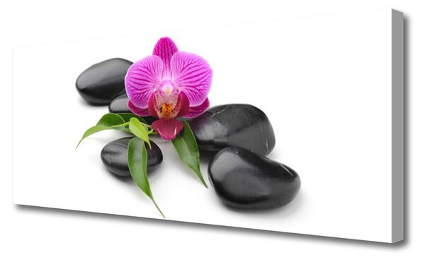 Tablou pe panza canvas Pietrele de flori Arta roz negru