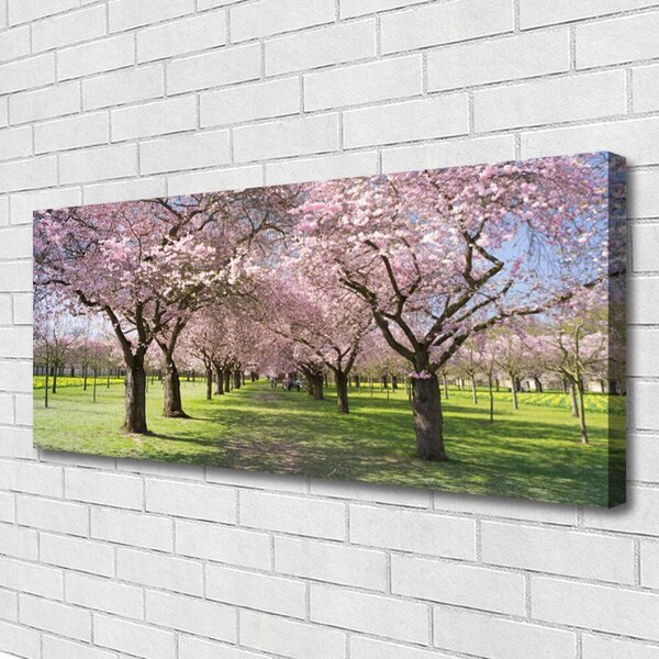 Tablou pe panza canvas Poteca Copaci Natura Brun Verde Roz