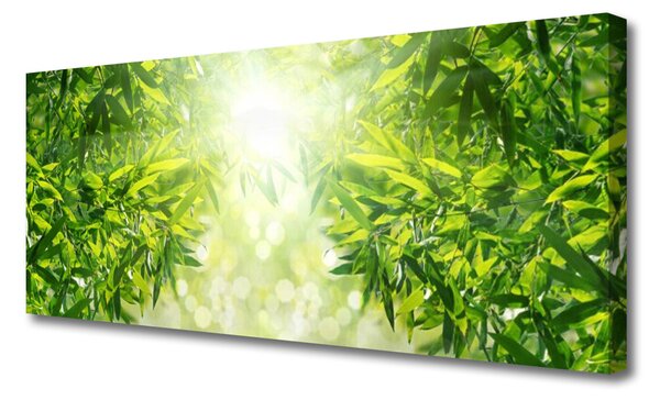 Tablou pe panza canvas Frunze Natura verde