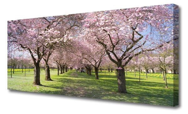 Tablou pe panza canvas Poteca Copaci Natura Brun Verde Roz