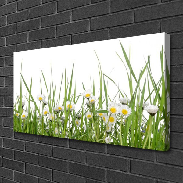 Tablou pe panza canvas Iarbă Margarete Natura Verde Alb Galben