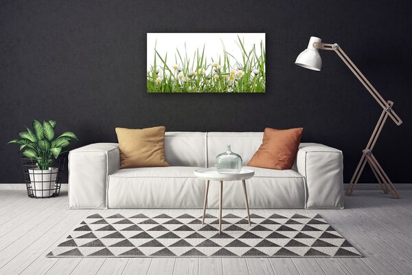 Tablou pe panza canvas Iarbă Margarete Natura Verde Alb Galben