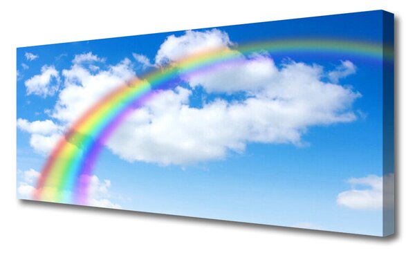 Tablou pe panza canvas Rainbow Natura Multi