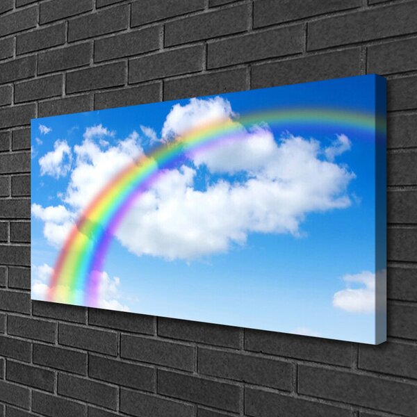 Tablou pe panza canvas Rainbow Natura Multi