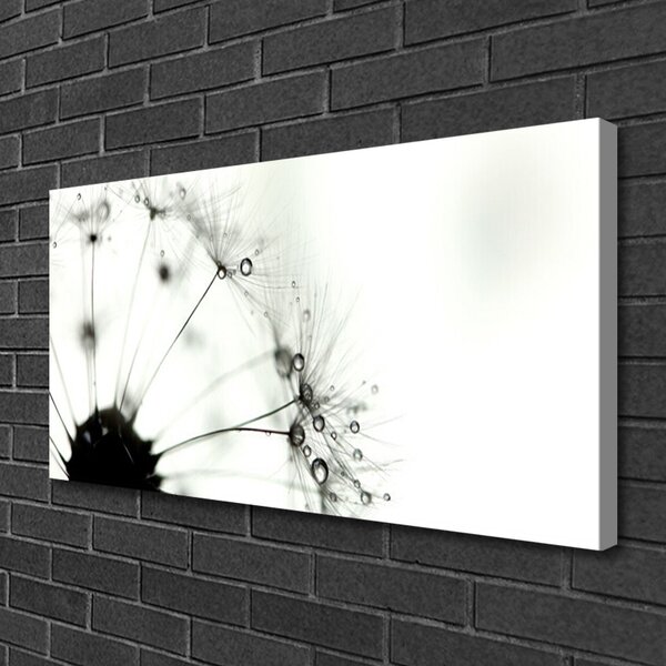 Tablou pe panza canvas Păpădie Floral Gri Negru