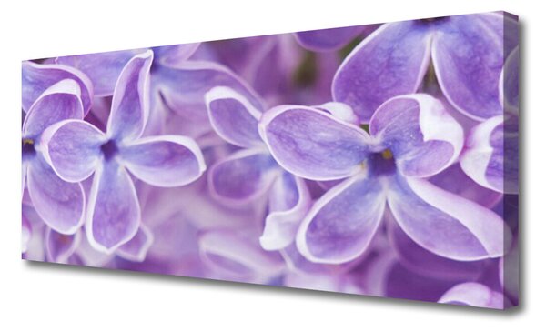 Tablou pe panza canvas Flori roz Floral