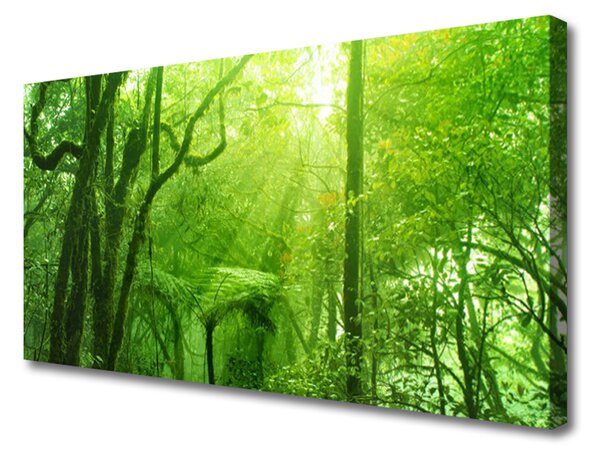 Tablou pe panza canvas Copaci Natura Brun Verde