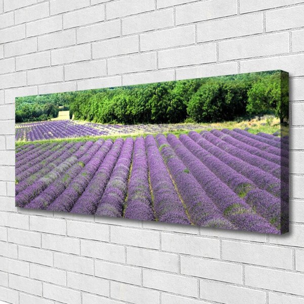 Tablou pe panza canvas Meadow Flori Natura Verde Violet