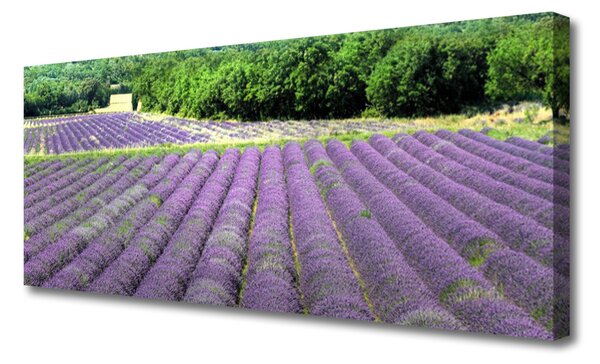 Tablou pe panza canvas Meadow Flori Natura Verde Violet