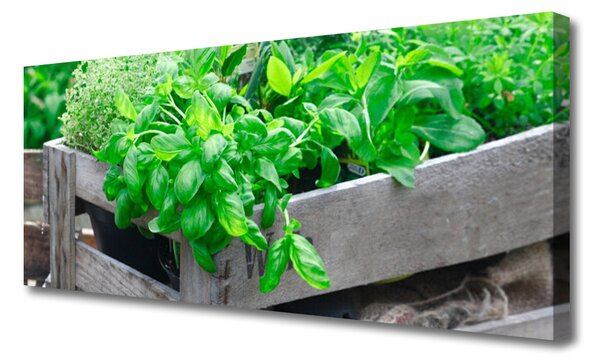 Tablou pe panza canvas Frunze verde florale