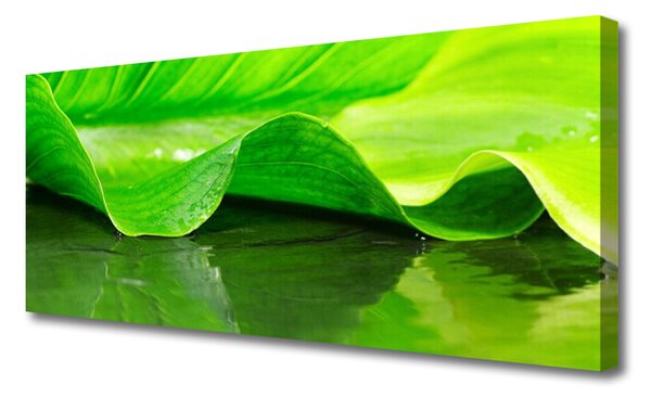 Tablou pe panza canvas Frunza verde florale