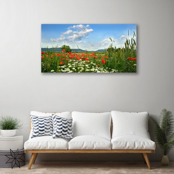 Tablou pe panza canvas Flori Meadow Natura Verde Roșu Alb