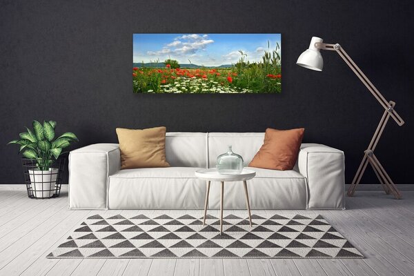 Tablou pe panza canvas Flori Meadow Natura Verde Roșu Alb