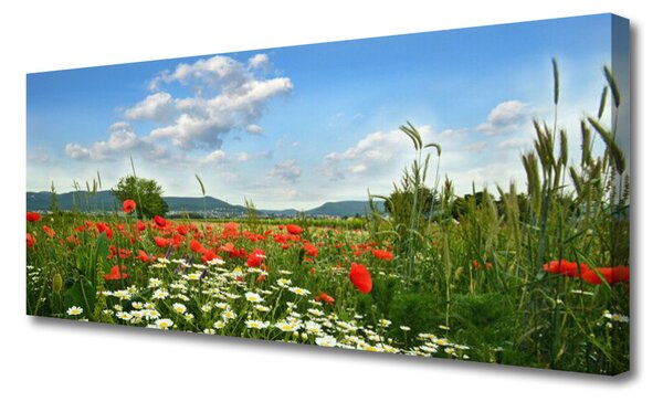 Tablou pe panza canvas Flori Meadow Natura Verde Roșu Alb