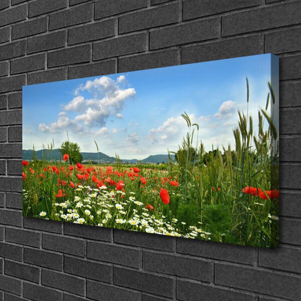 Tablou pe panza canvas Flori Meadow Natura Verde Roșu Alb