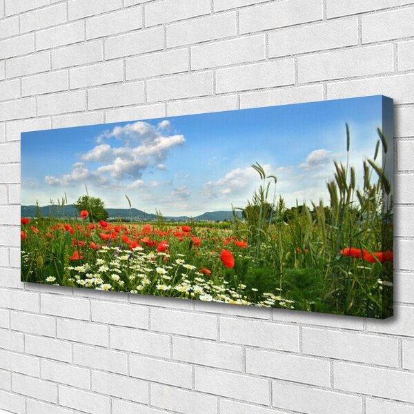Tablou pe panza canvas Flori Meadow Natura Verde Roșu Alb