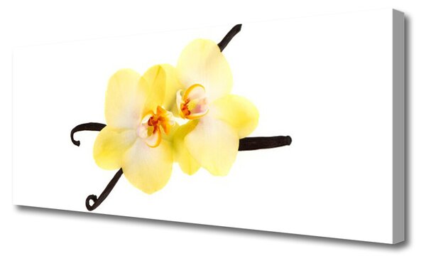 Tablou pe panza canvas Flori Floral Alb Galben Maro