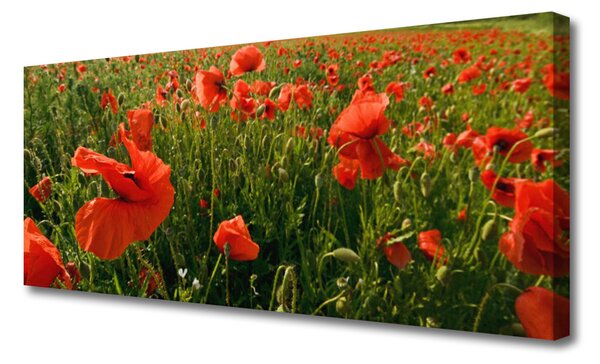 Tablou pe panza canvas Maci Natura Roșu Verde