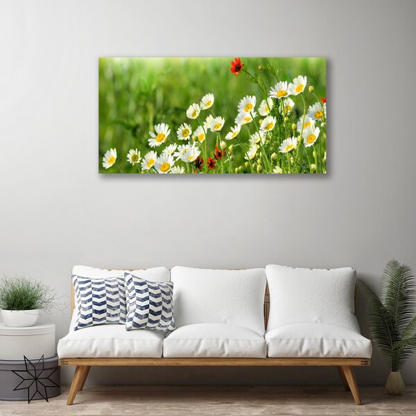 Tablou pe panza canvas Daisy Natura Galben Alb