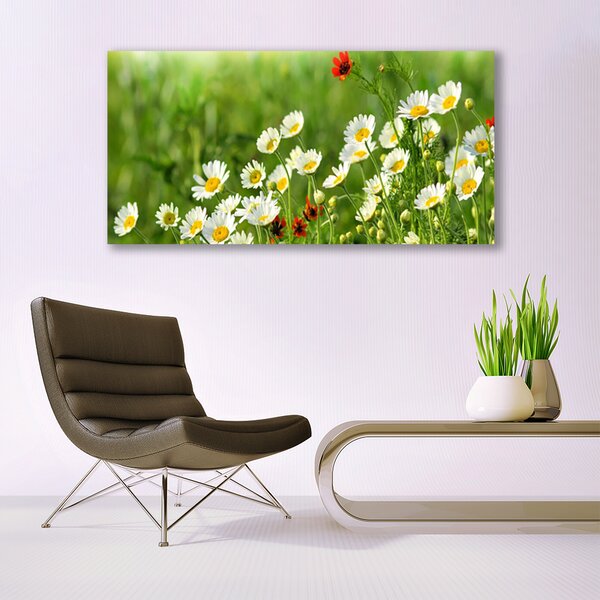 Tablou pe sticla Daisy Natura Galben Alb