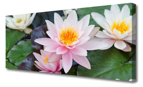 Tablou pe panza canvas Flori Floral galben roz