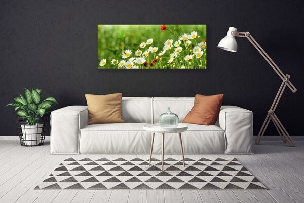 Tablou pe panza canvas Daisy Natura Galben Alb
