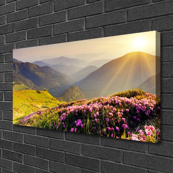 Tablou pe panza canvas Mountain Meadow Peisaj Verde Roz Gri