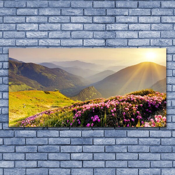 Tablou pe panza canvas Mountain Meadow Peisaj Verde Roz Gri