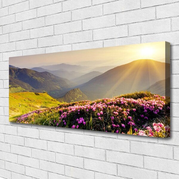 Tablou pe panza canvas Mountain Meadow Peisaj Verde Roz Gri