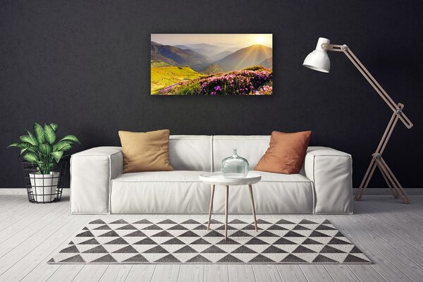 Tablou pe panza canvas Mountain Meadow Peisaj Verde Roz Gri