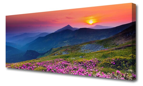 Tablou pe panza canvas Muntii Meadow Flori Peisaj Galben Albastru Verde Roz
