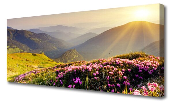 Tablou pe panza canvas Mountain Meadow Peisaj Verde Roz Gri