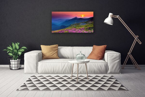 Tablou pe panza canvas Muntii Meadow Flori Peisaj Galben Albastru Verde Roz
