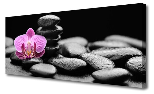 Tablou pe panza canvas Pietrele de flori Arta roz negru