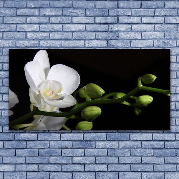 Tablou pe panza canvas Florale flori albe