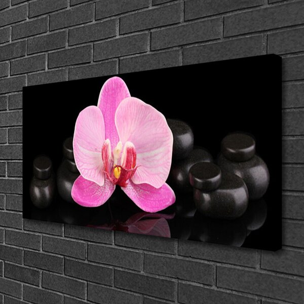 Tablou pe panza canvas Pietrele florale flori roz negru