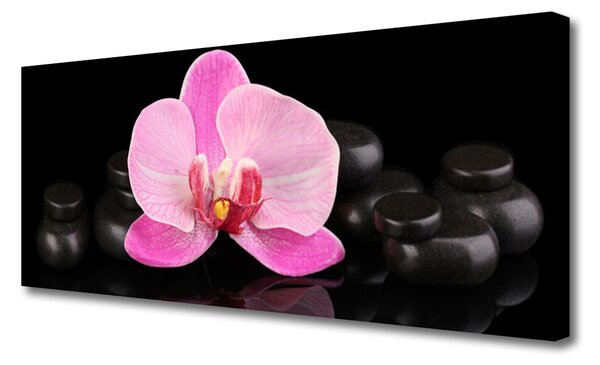Tablou pe panza canvas Pietrele florale flori roz negru